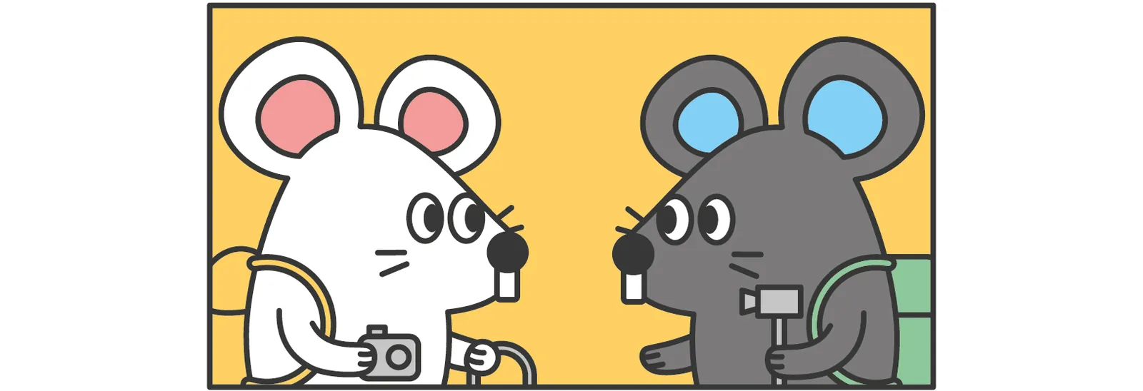 알지&무지 투샷 (옐로, 가로 띠형)