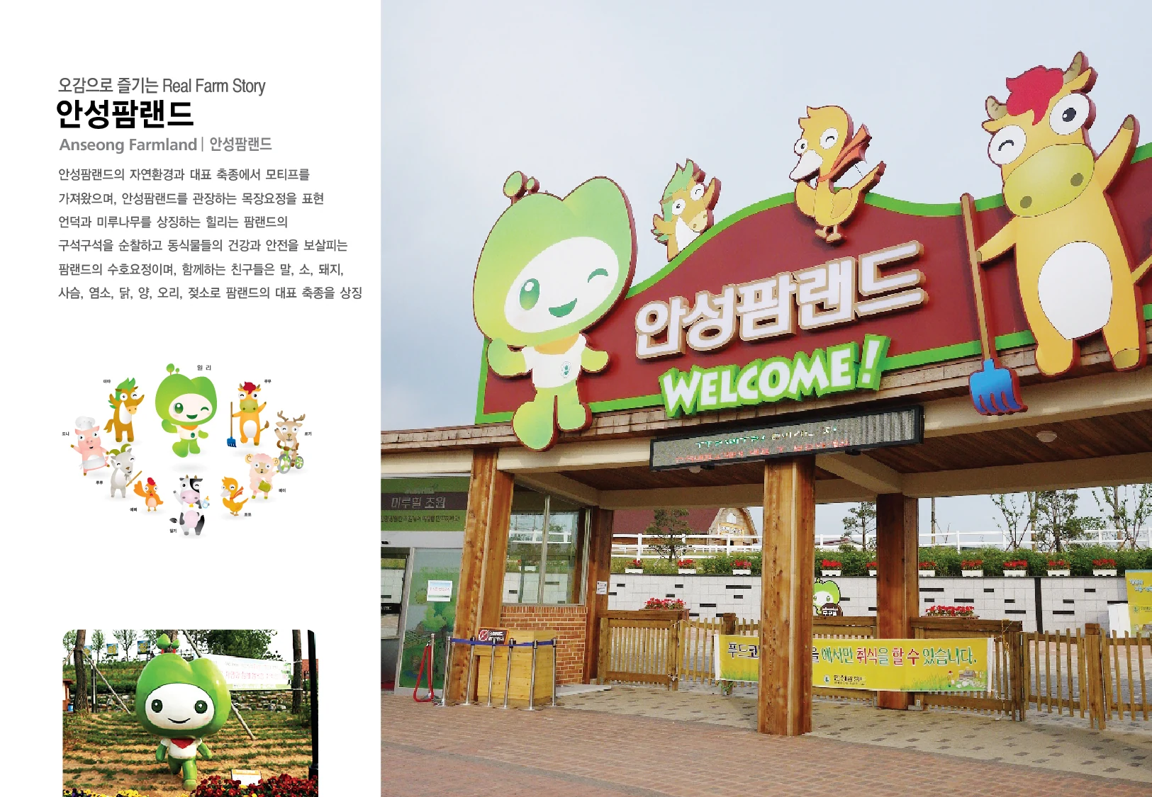 안성팜랜드 캐릭터 — 캐릭터 기본형과 적용 디자인