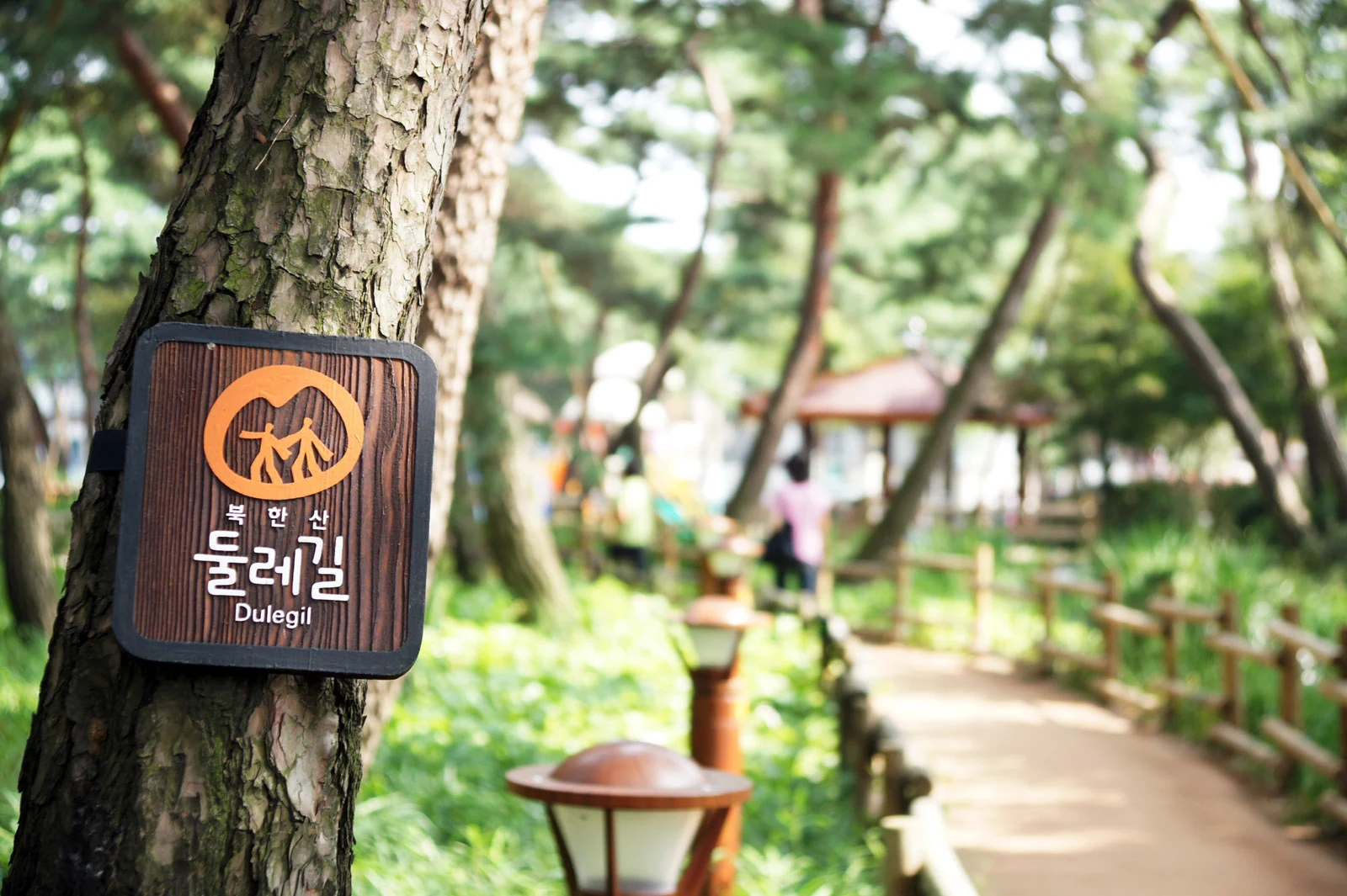 국립공원 둘레길 — 아이덴티티 적용 예시