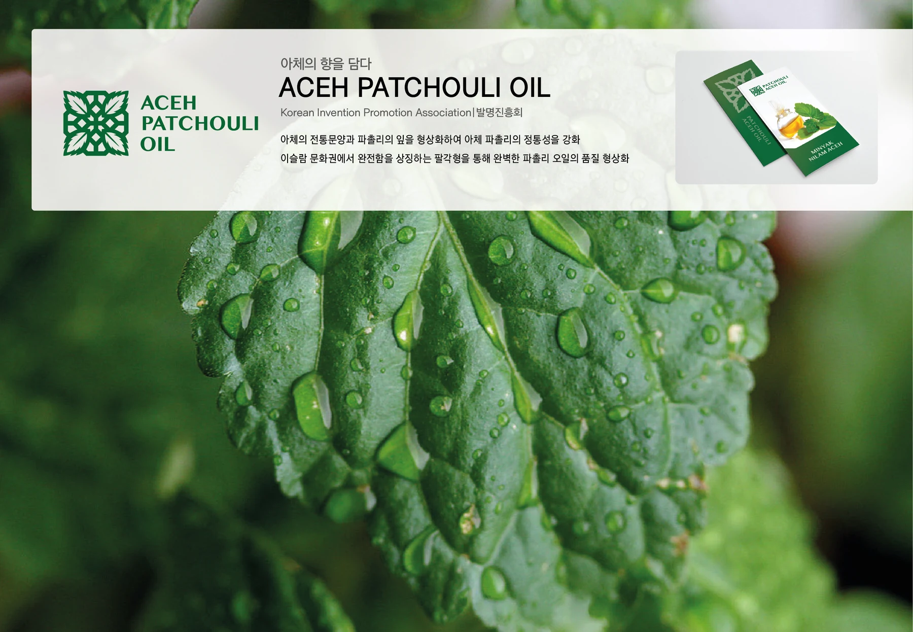 ACEH PATCHOULI OIL BI — 심벌·로고 조합