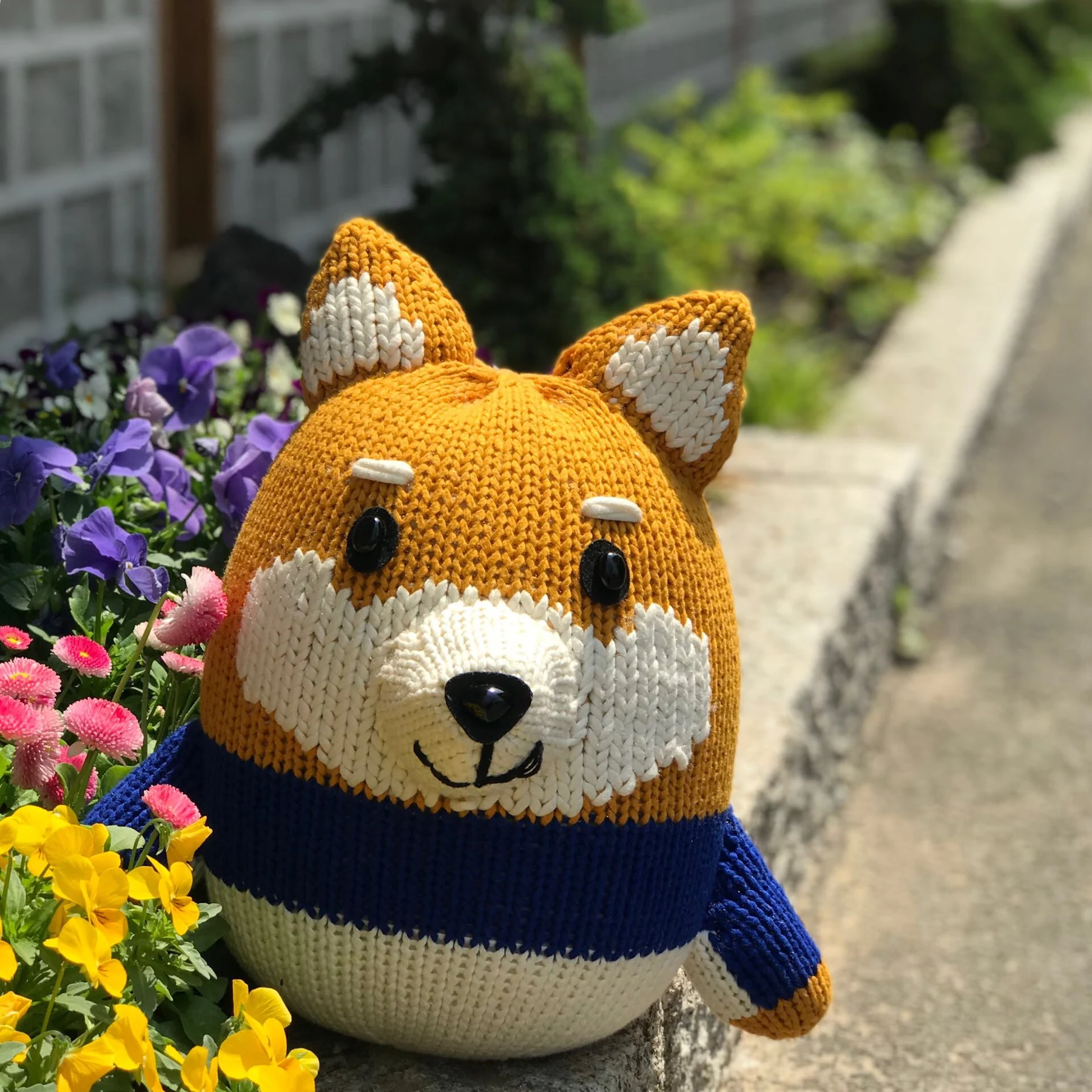 캡독 — 황금 개 스토리 캐릭터 — 캐릭터 인형