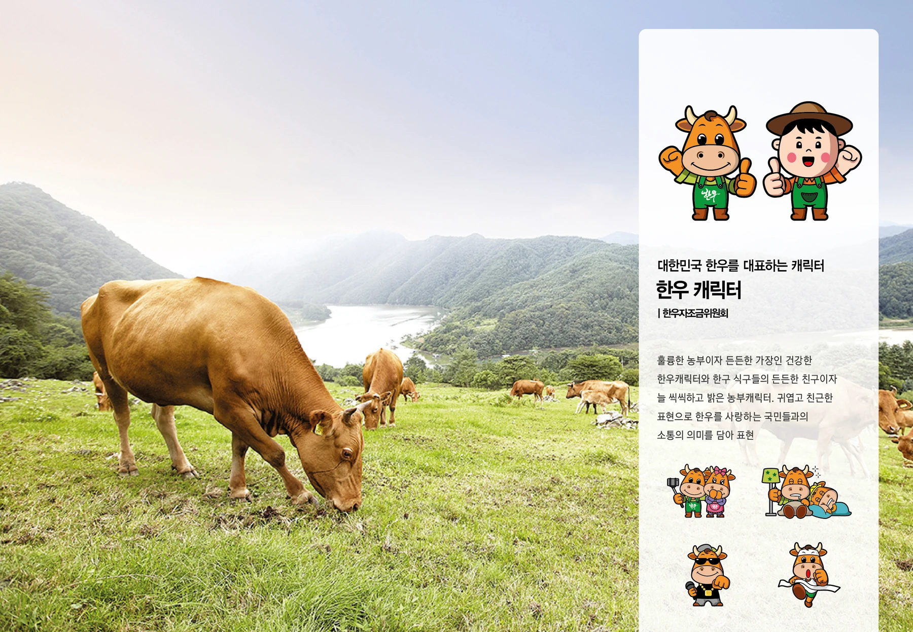 대한민국 한우 캐릭터 — 캐릭터 기본형과 응용
