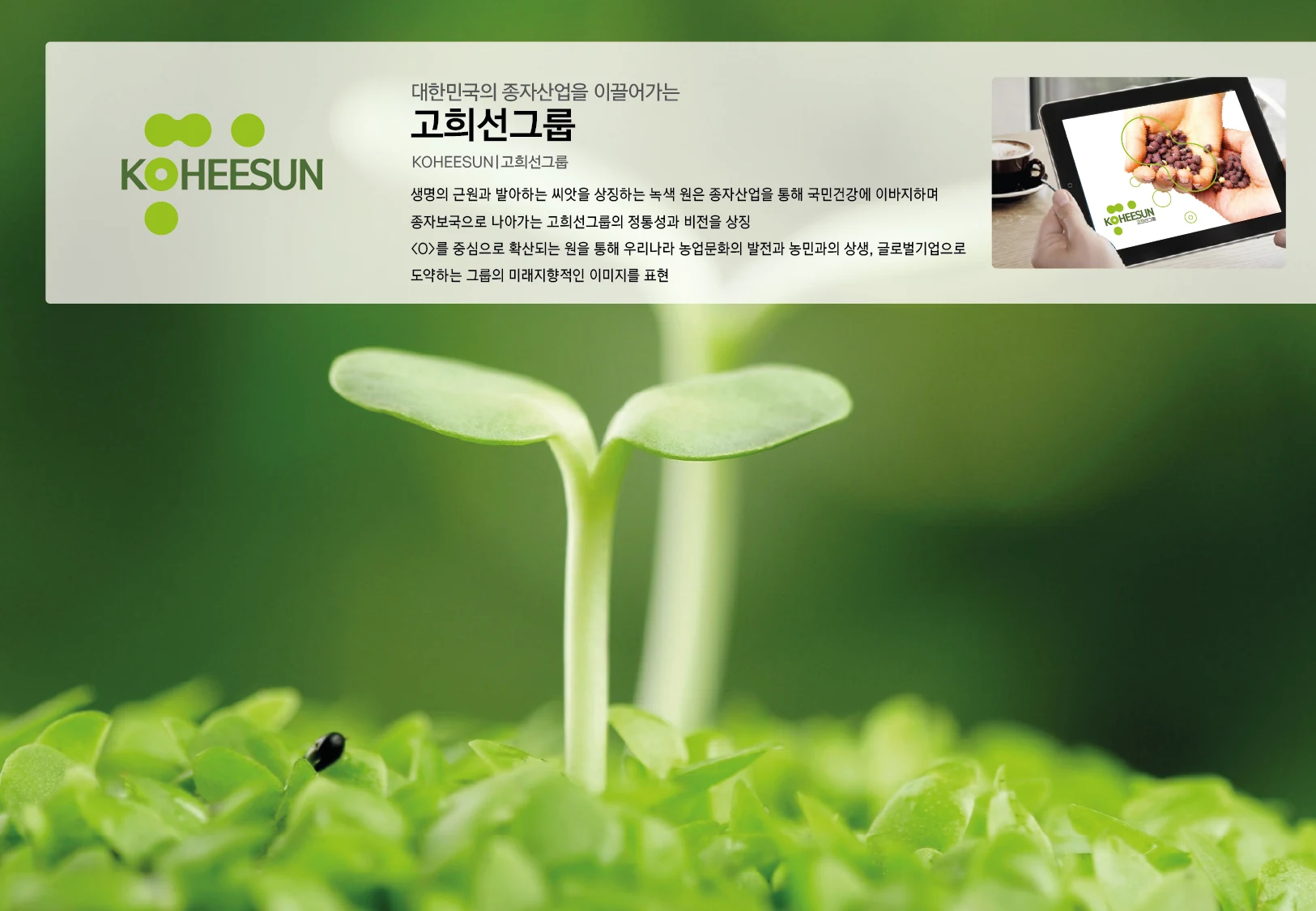 고희선그룹 CI — 심벌·로고 조합