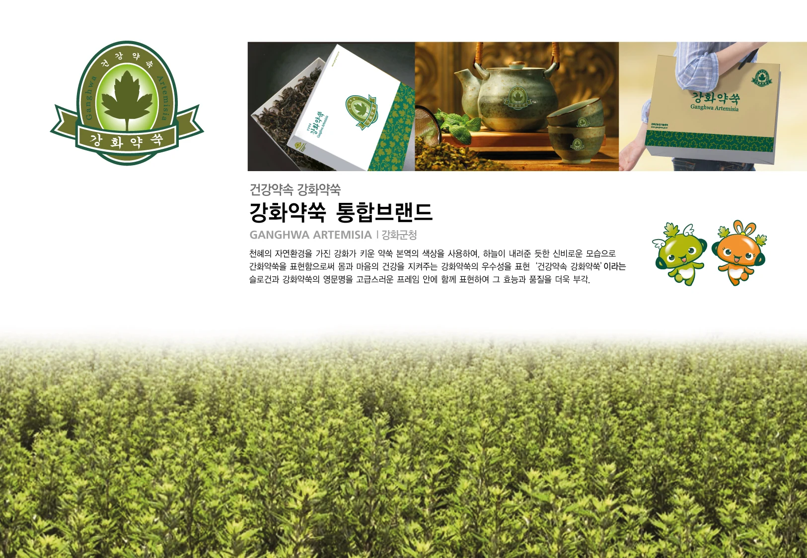강화약쑥통합브랜드 — 아이덴티티 적용 보드