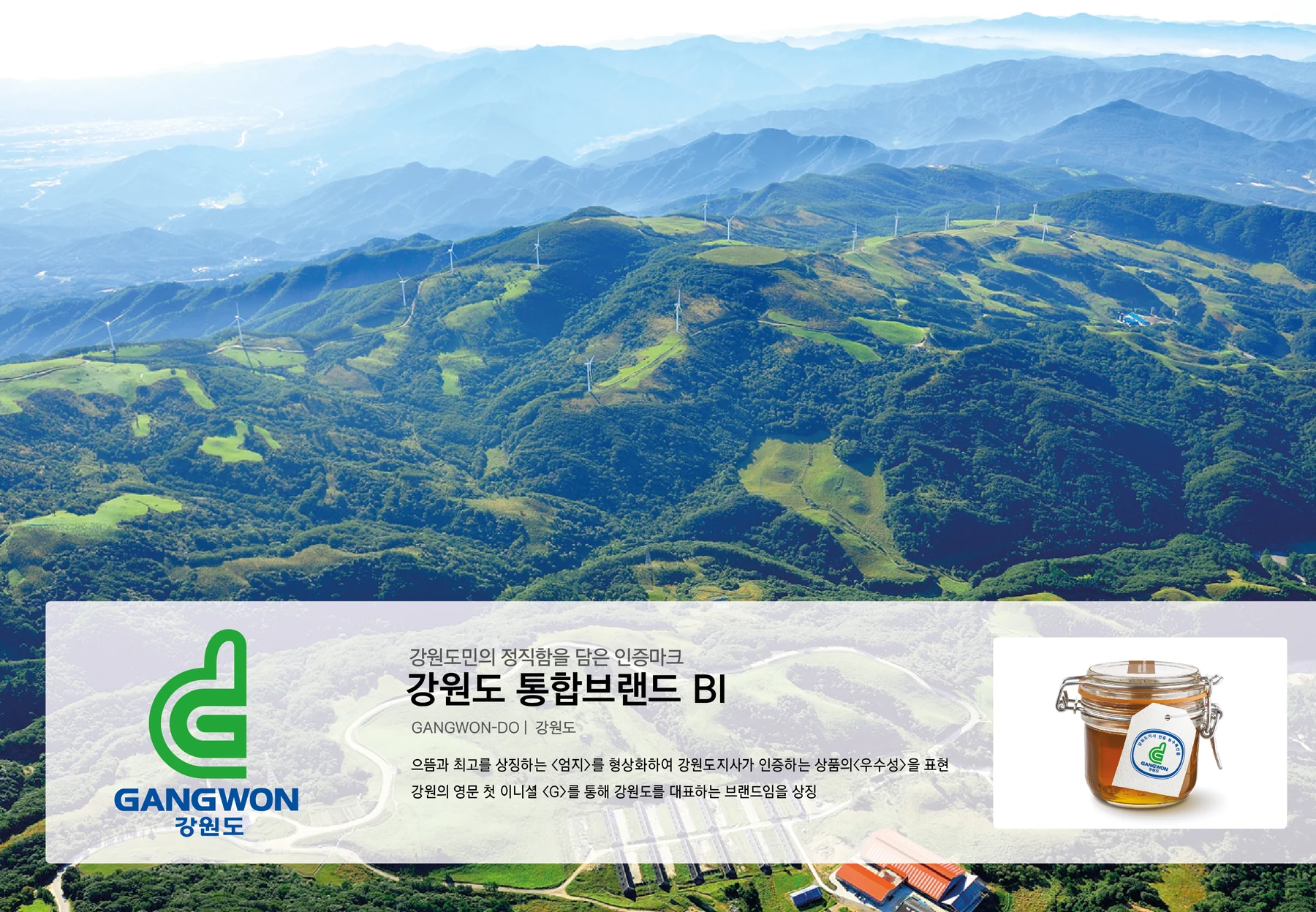 강원도 통합브랜드 — 아이덴티티 적용 보드