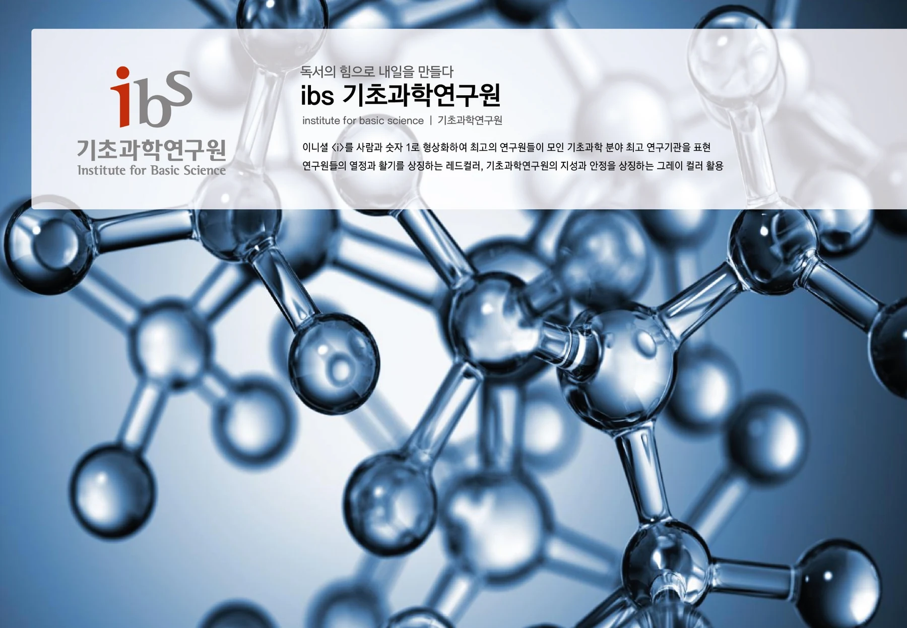 기초과학연구원 IBS — 기관 BI 적용 보드
