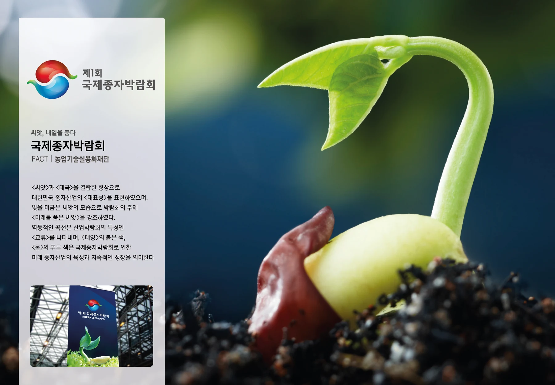 국제종자박람회 — 행사 아이덴티티와 홍보물 적용